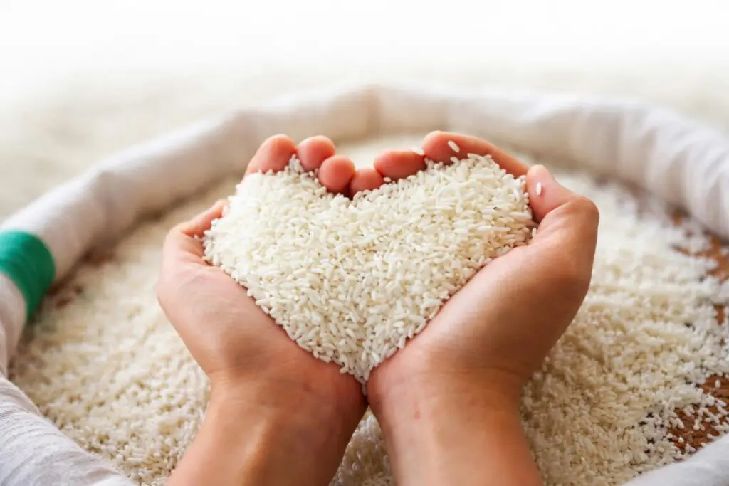 Apakah Wanita Hamil Dan Menyusui, Meng-qadha Saja Atau Membayar Fidyah?